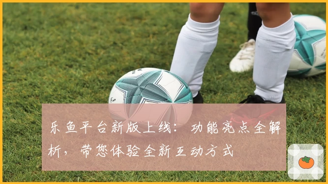 乐鱼平台新版上线：功能亮点全解析，带您体验全新互动方式