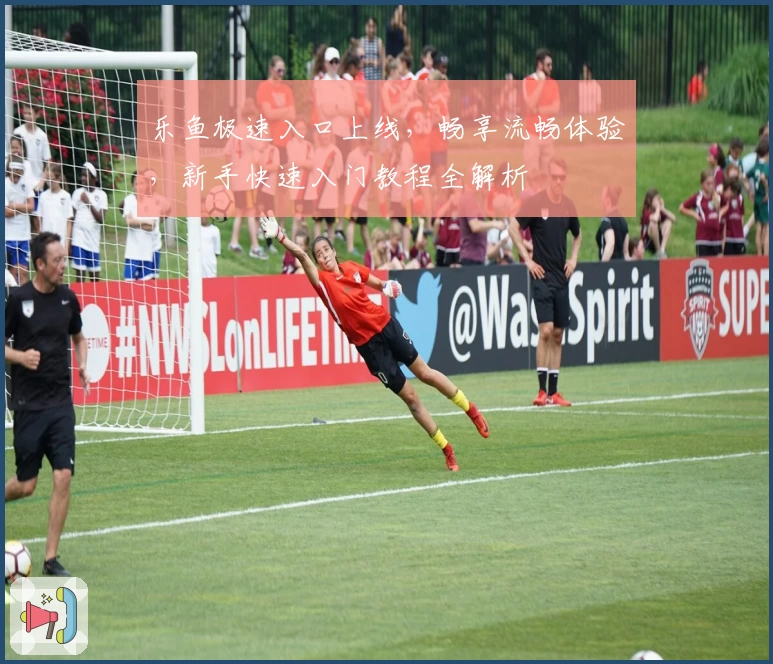 乐鱼极速入口上线，畅享流畅体验，新手快速入门教程全解析