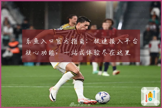 乐鱼入口官方指南：极速接入平台核心功能，一站式体验尽在这里