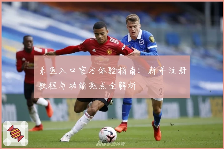 乐鱼入口官方体验指南：新手注册教程与功能亮点全解析