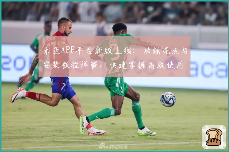 乐鱼APP平台新版上线：功能亮点与安装教程详解，快速掌握高效使用技巧