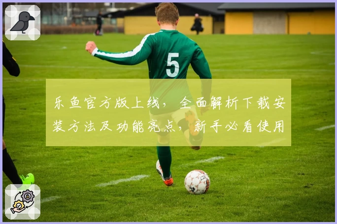 乐鱼官方版上线，全面解析下载安装方法及功能亮点，新手必看使用教程